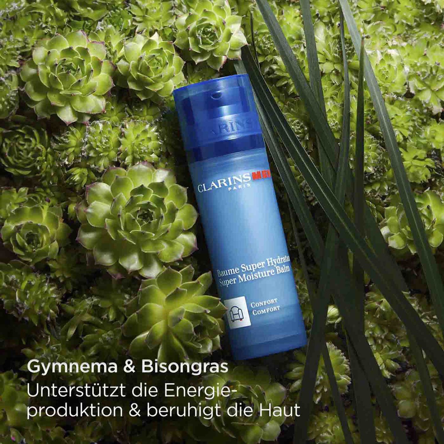 CLARINSMEN Baume Super Hydratant