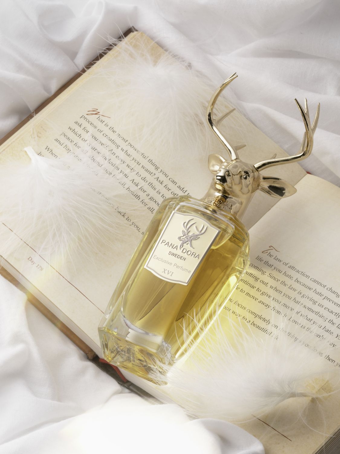 XVI Sweet Wood Eau de Parfum