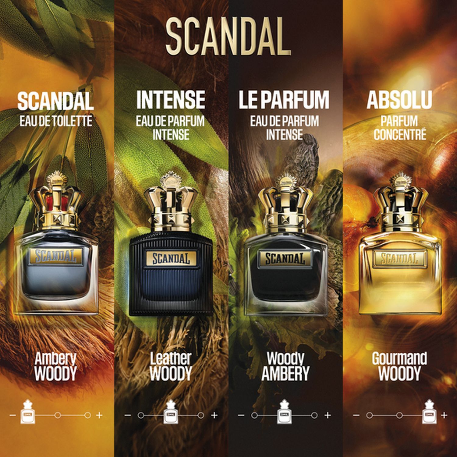 Scandal pour Homme Absolu Parfum Concentré