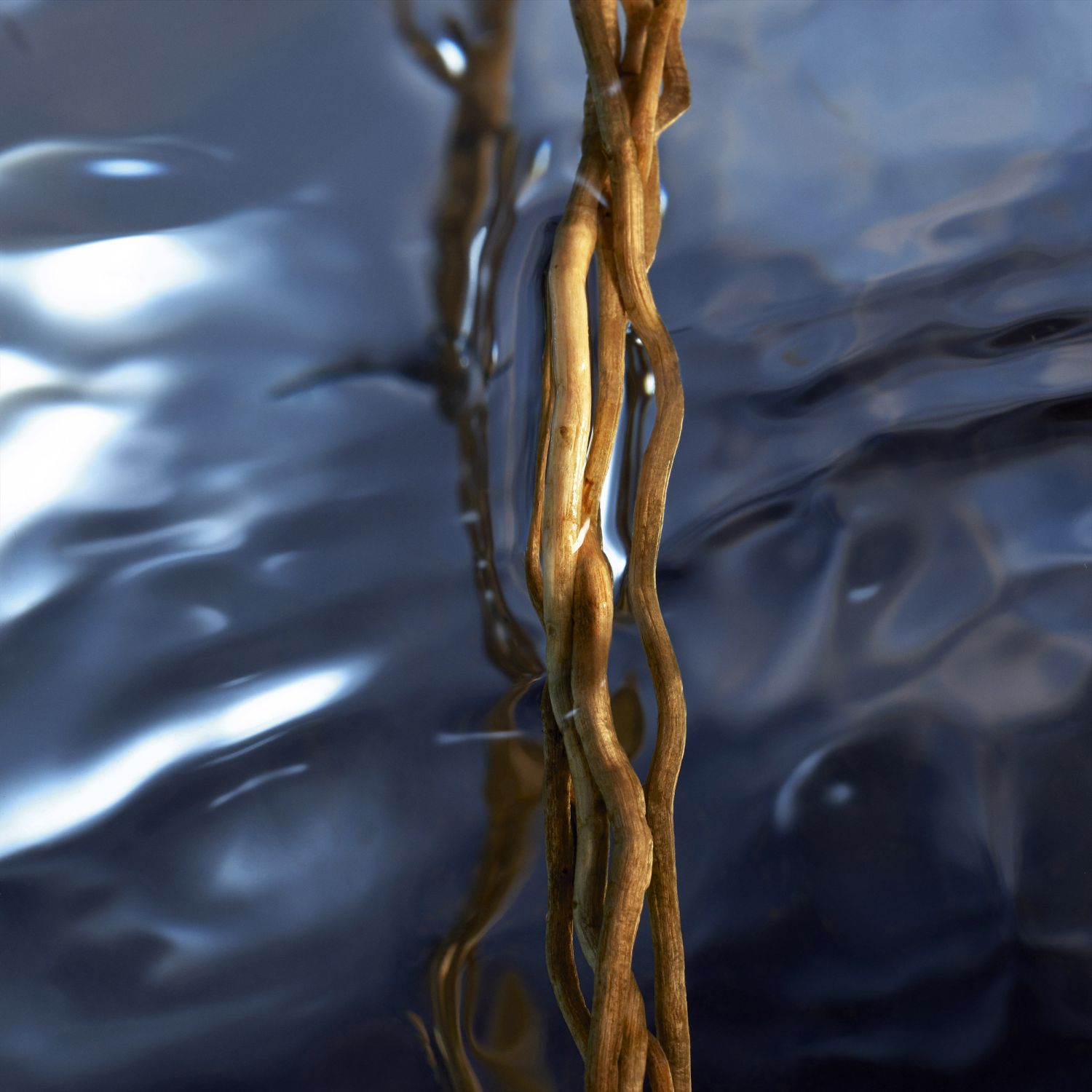 Cool Water Reborn Eau de Toilette