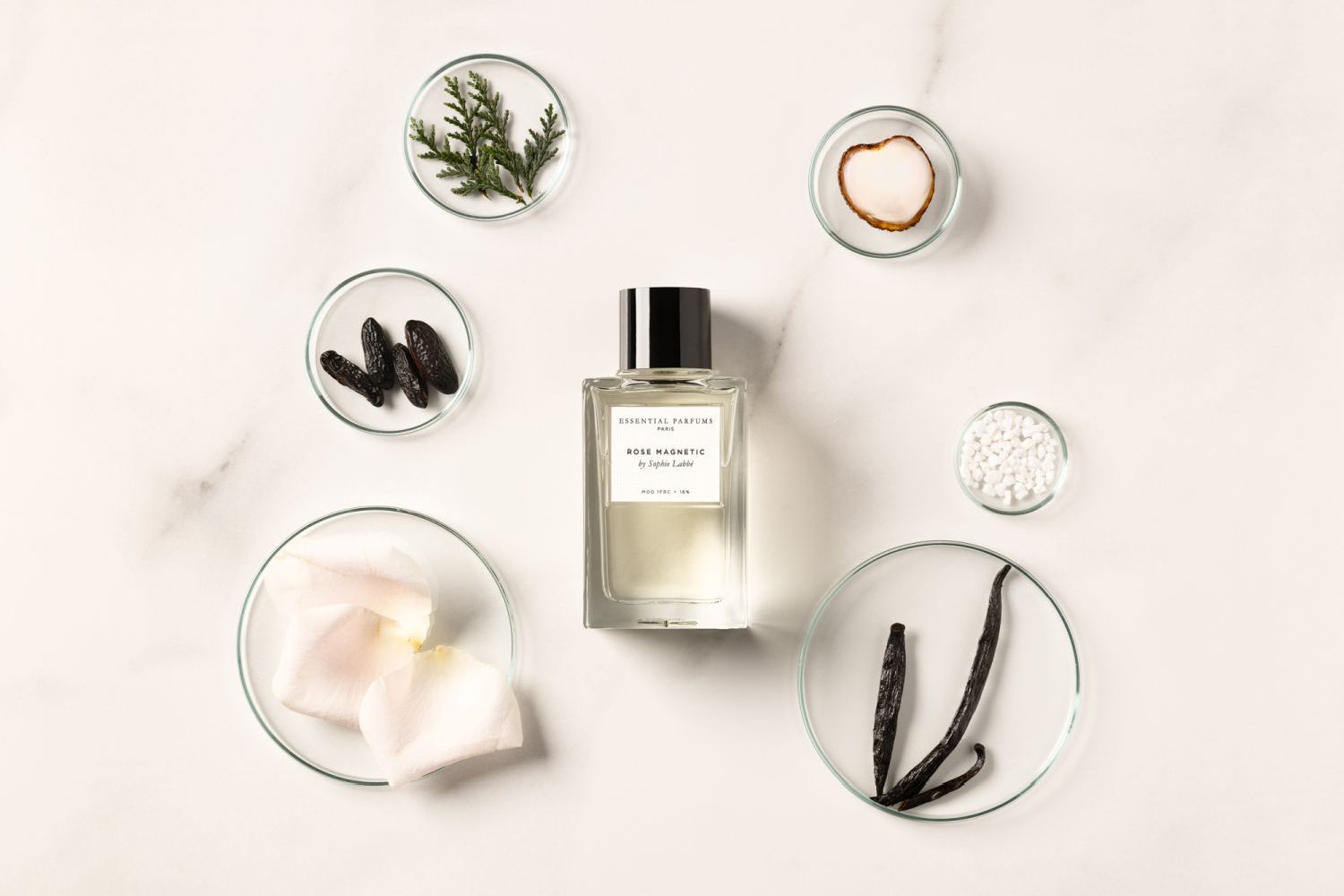 Rose Magnetic Eau de Parfum