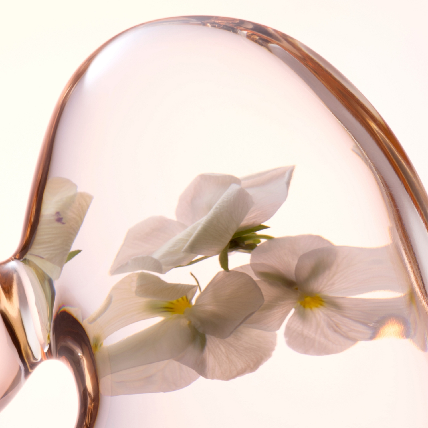 Skin Essentials Softening Perfecting Toner