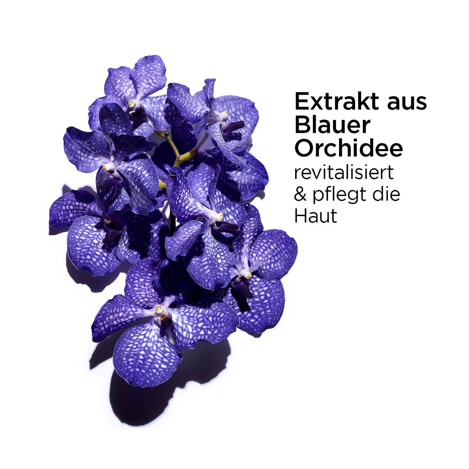 CLARINS AROMA Huile Orchidée Bleue