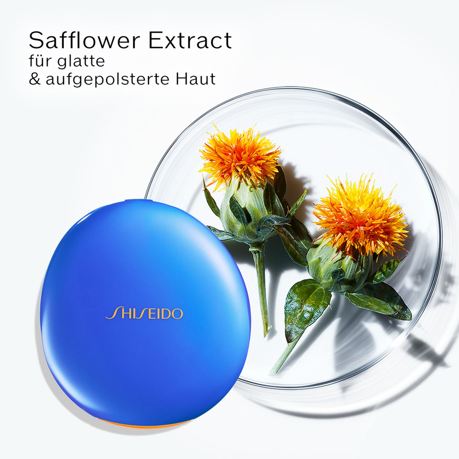 UV Protective Compact Foundation