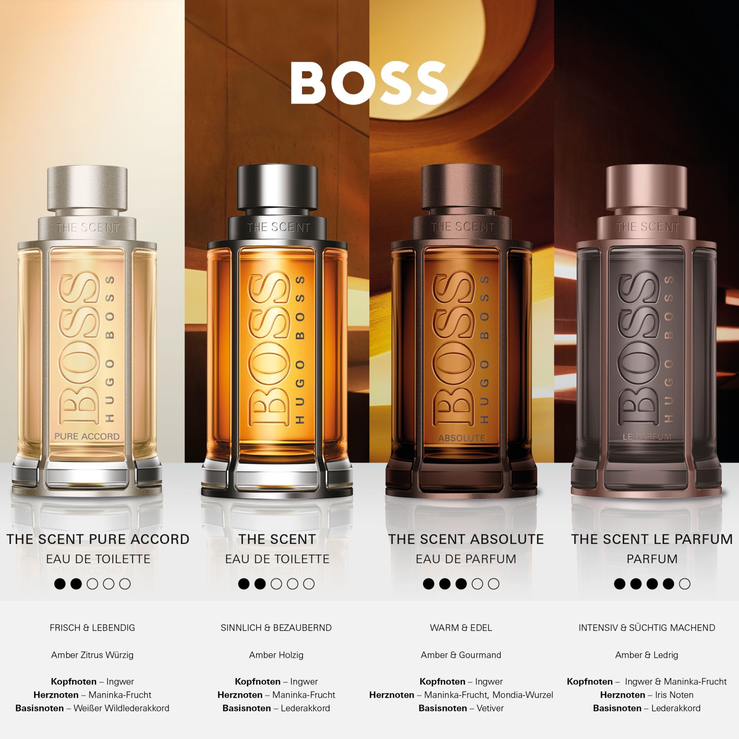 The Scent Absolute Eau de Parfum