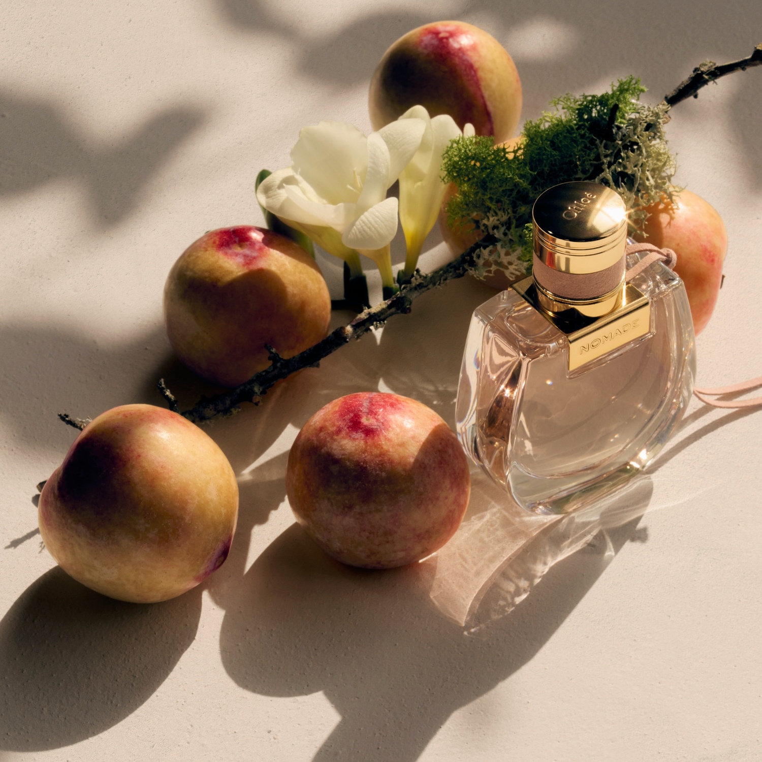 Chloé Nomade Eau de Parfum