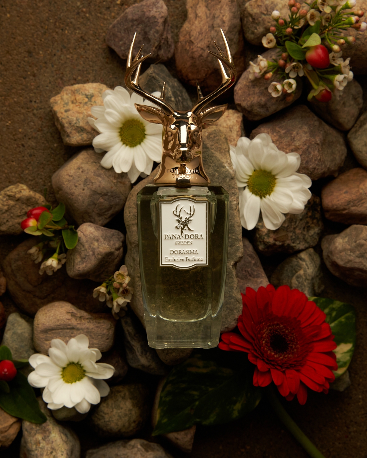 Dorasima Eau de Parfum