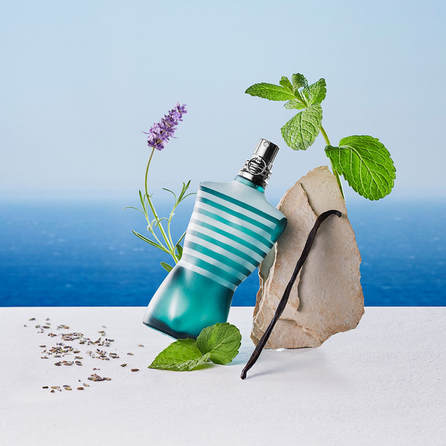 Le Mâle Eau de Toilette