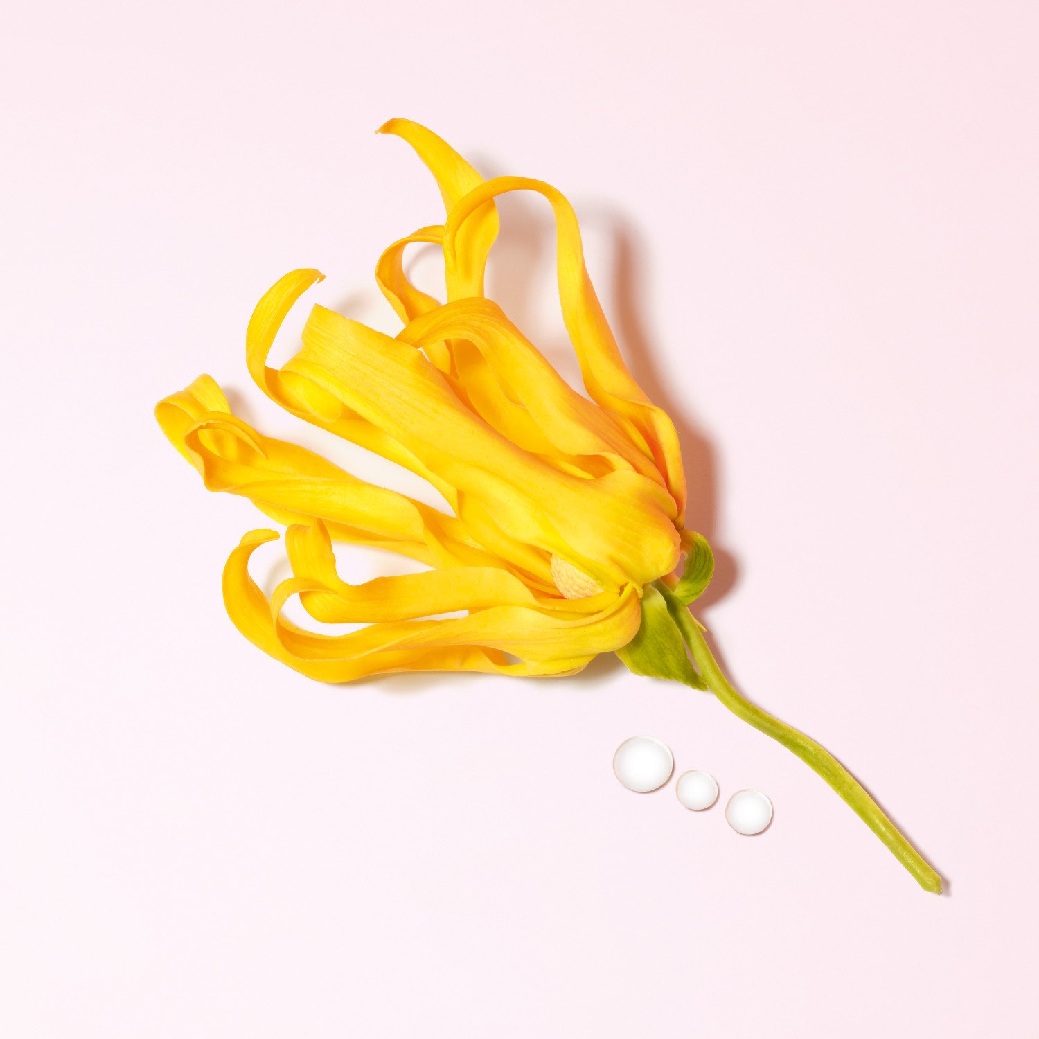 My Way Ylang Eau de Parfum