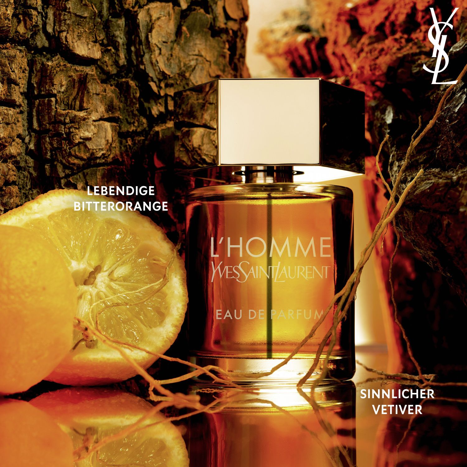 L'Homme Eau de Parfum