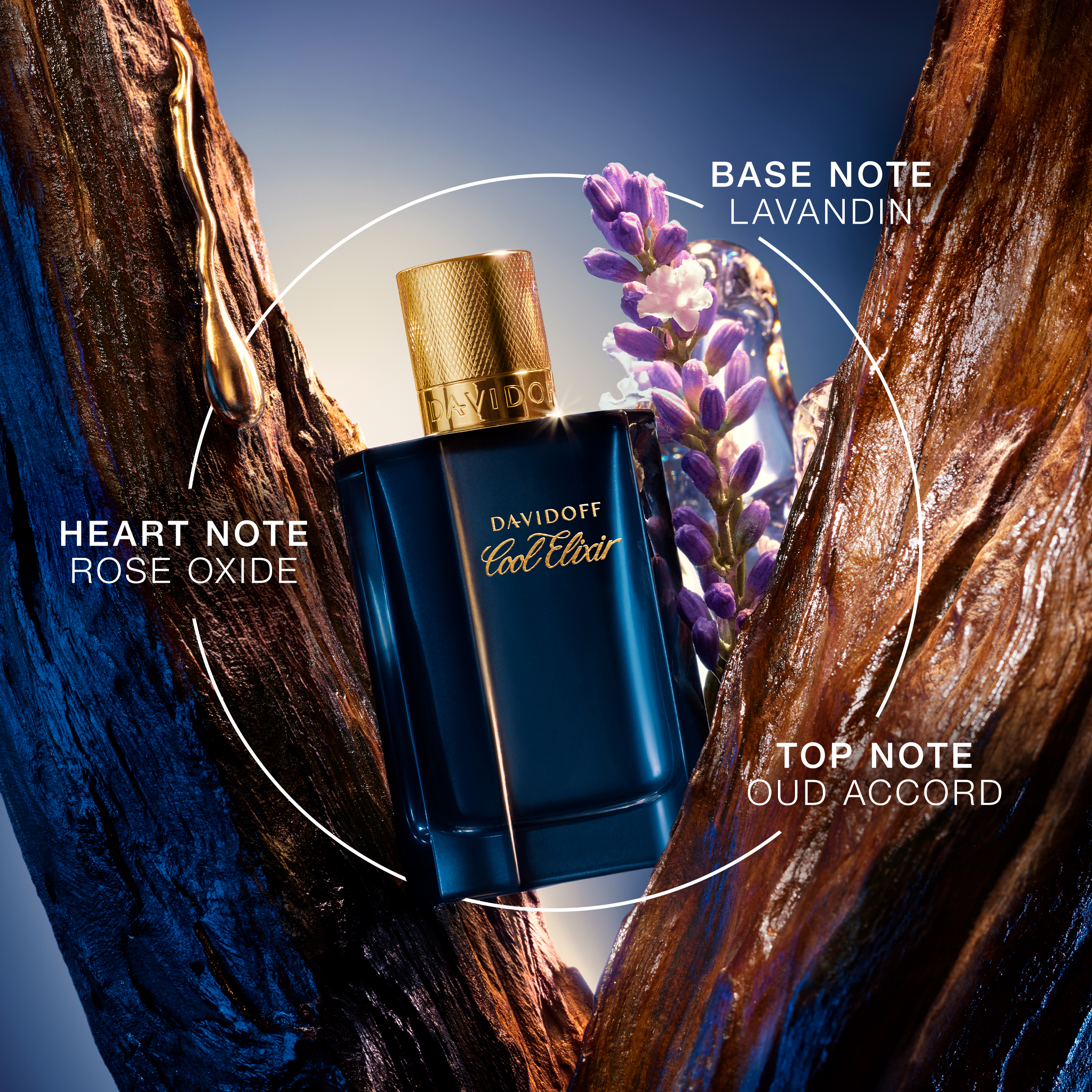 Cool Elixir Man Parfum