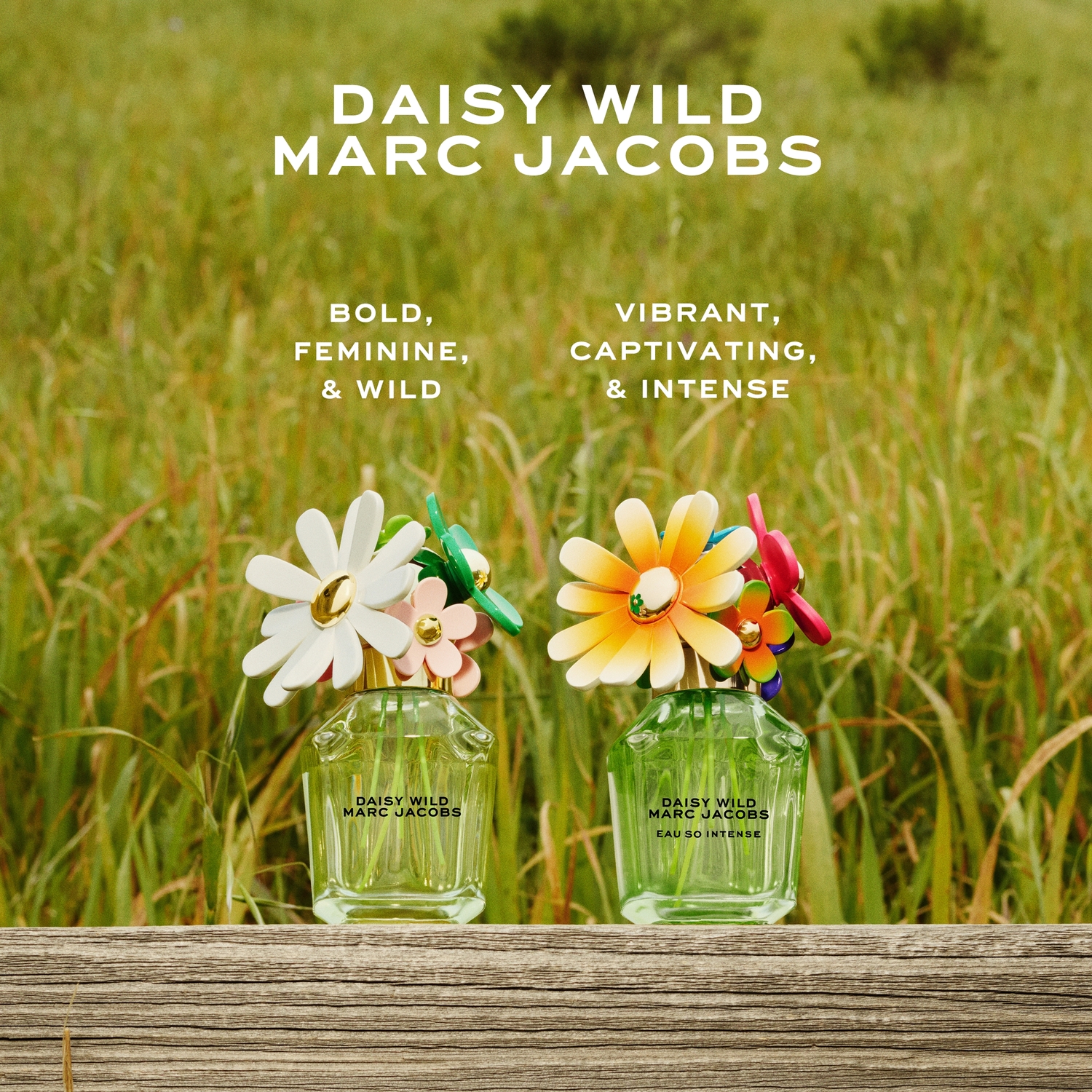 DAISY Wild Eau de Parfum Intense