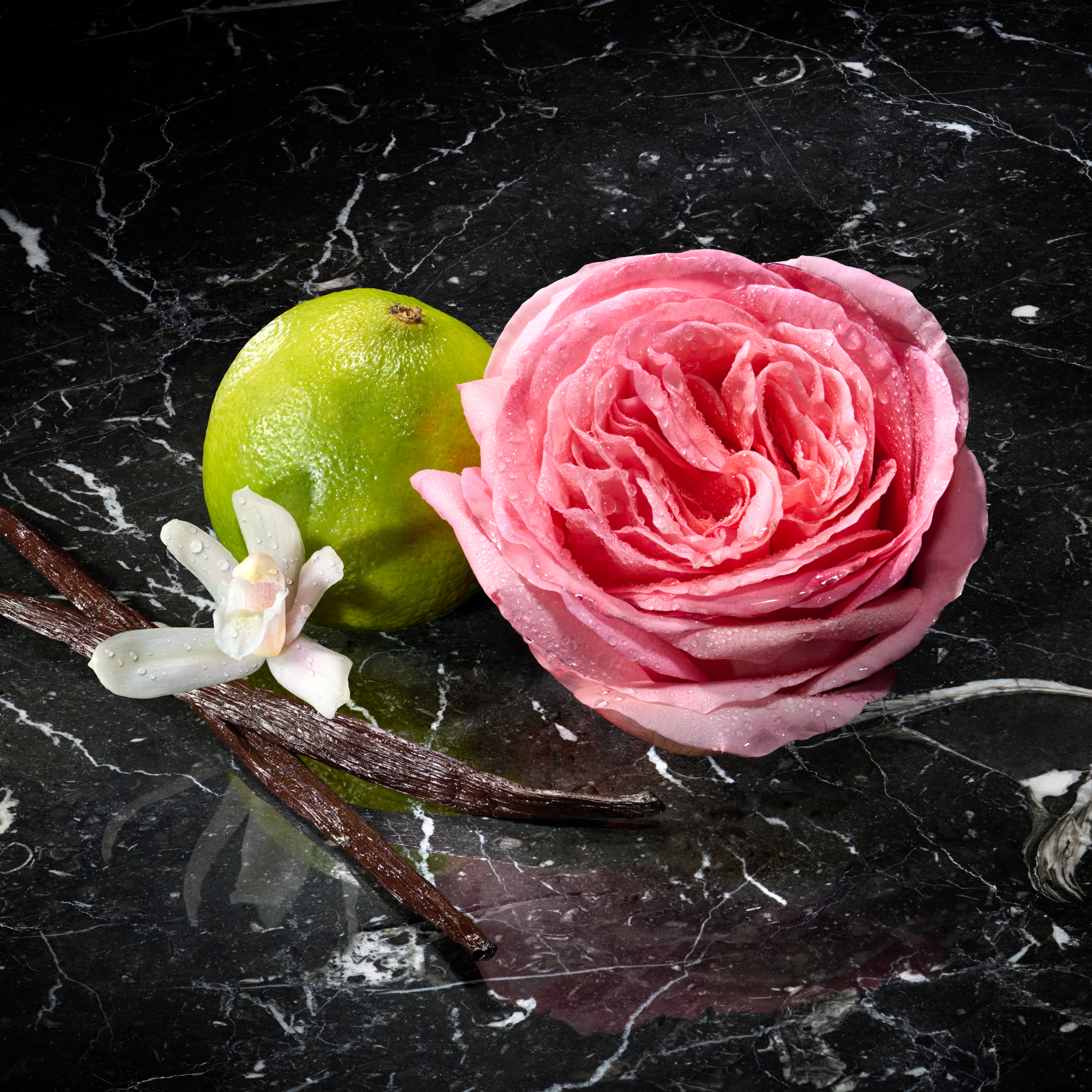 Le Bain Eau de Parfum