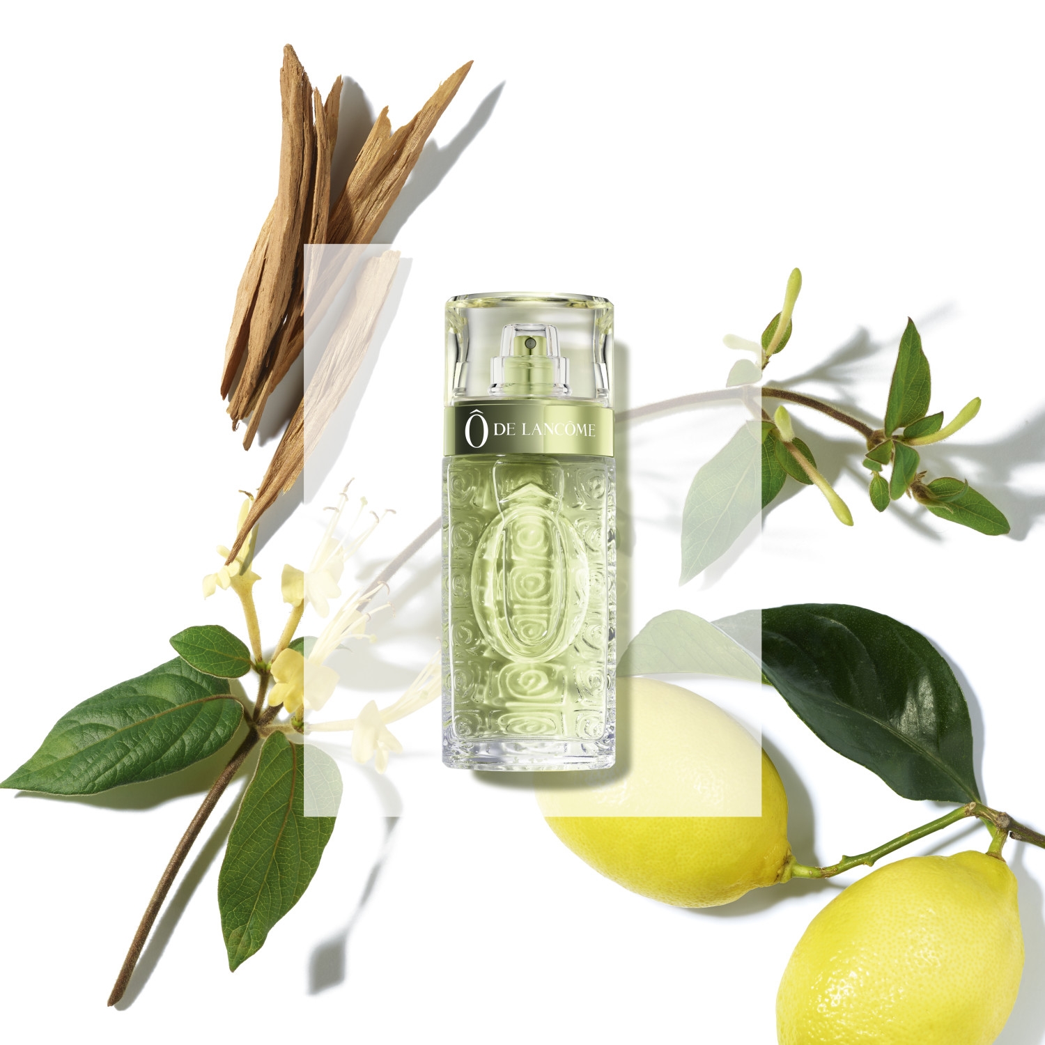 Ô de Lancôme Eau de Toilette