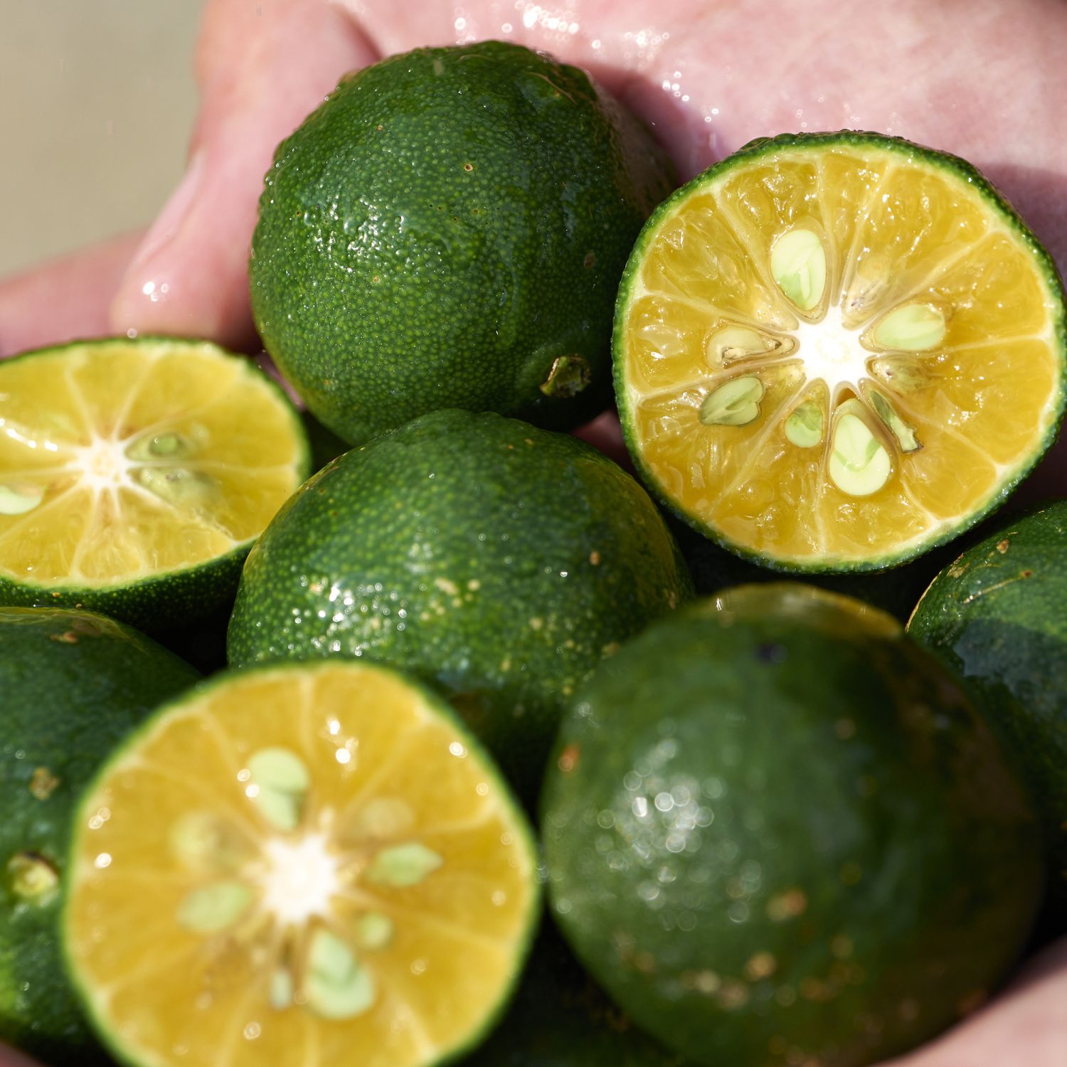 Shikulime Color Control Oil-Free Moisturizer