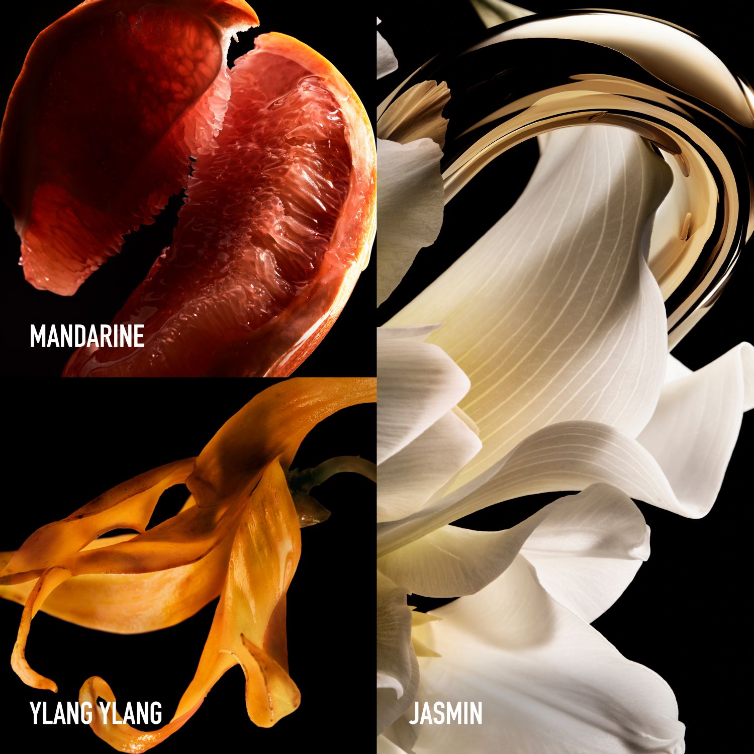 Million Gold For Her Pure Jasmine Eau de Parfum