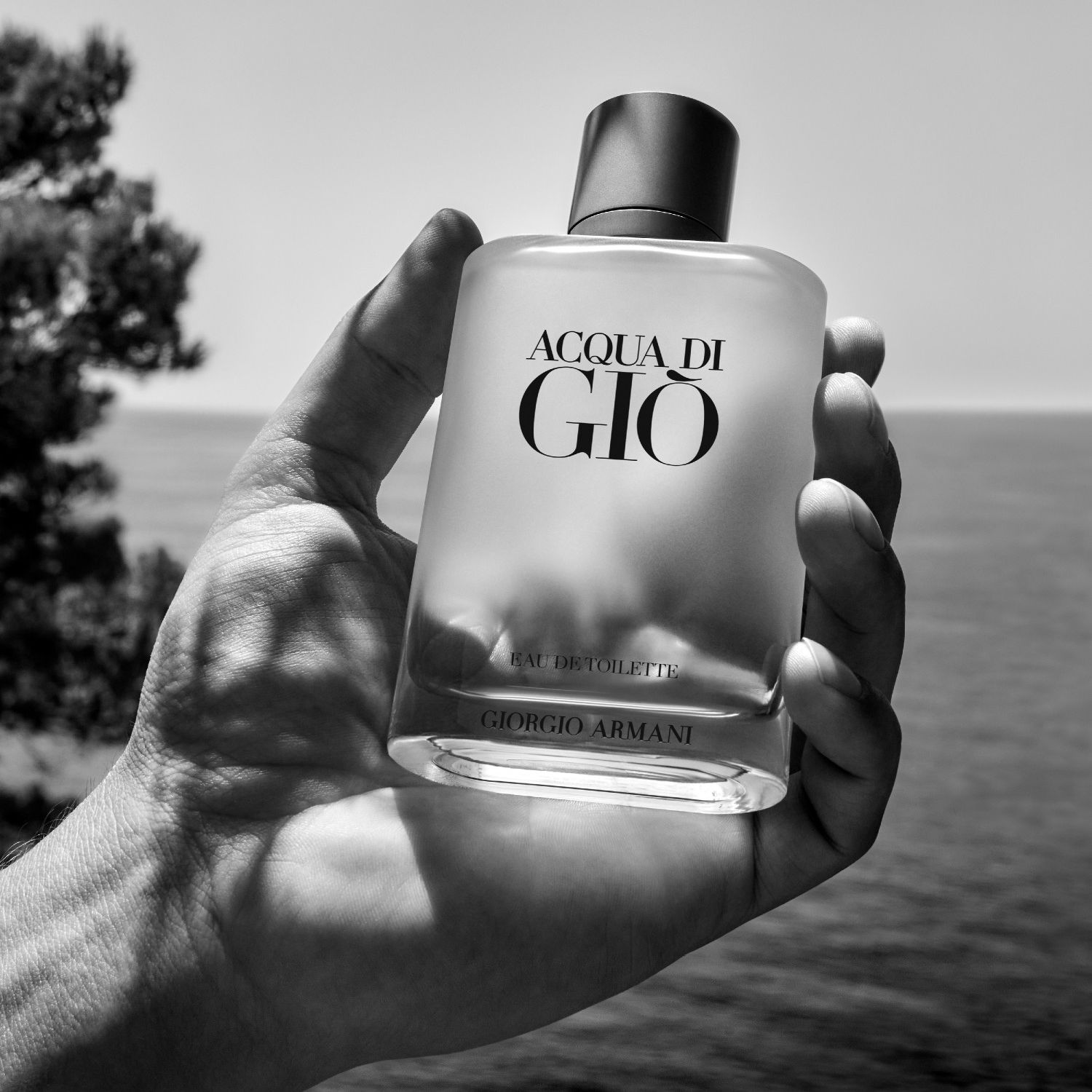 Acqua di Giò Homme Eau de Toilette